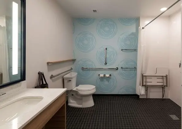 Oda, 1 En Büyük (King) Boy Yatak, Engellilere Uygun (Roll-In Shower)