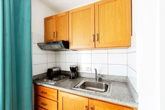 Deluxe Stüdyo, Birden Çok Yatak, Bahçe Manzaralı