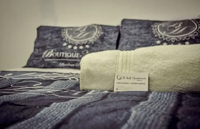 Deluxe Apart Daire, 2 Yatak Odası, Engellilere Uygun, Şehir Manzaralı