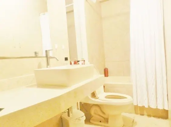 Deluxe Apart Daire, 2 Yatak Odası, Engellilere Uygun, Şehir Manzaralı