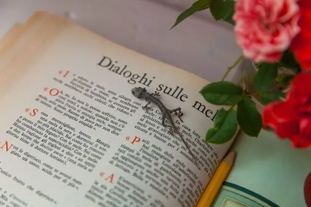 Ev, Birden Çok Yatak Odası