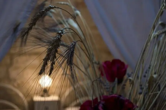 Panoramic Ev, 2 Yatak Odası, Bahçe Manzaralı, Havuz Kenarı