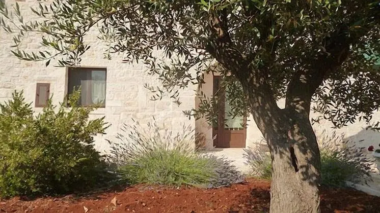 Family Apart Daire, 2 Yatak Odası