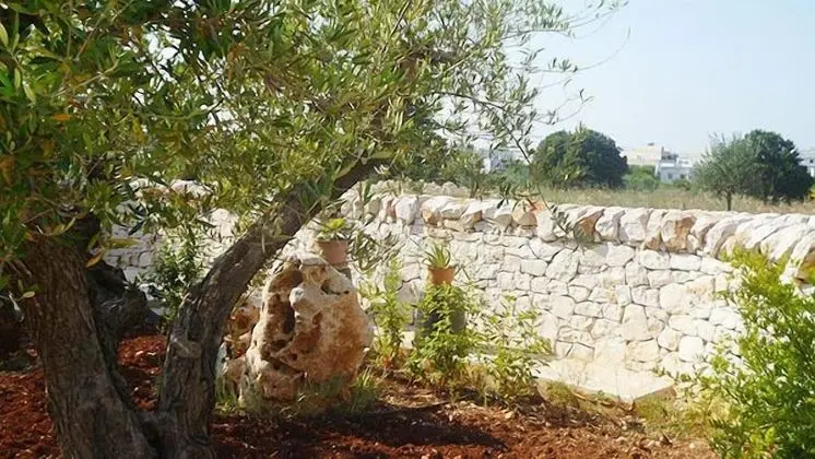 Romantic Apart Daire, 1 Yatak Odası