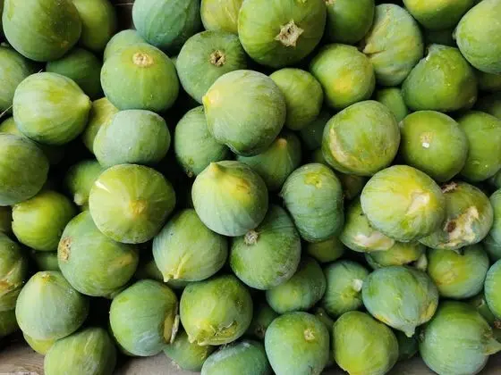 Exclusive Ev, 2 Yatak Odası, Şömine, Havuz Manzaralı