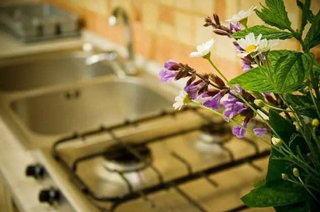 Traditional Ev, 1 Yatak Odası, Şömine, Bahçe Manzaralı