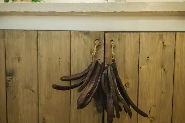 Villa, 4 Yatak Odası