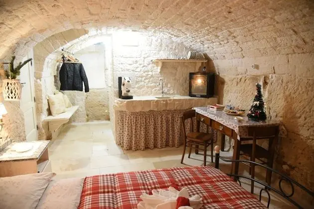 Exclusive Süit, 1 Yatak Odası, Penceresiz