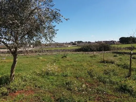 Classic Apart Daire, 2 Yatak Odası, Bahçe Manzaralı