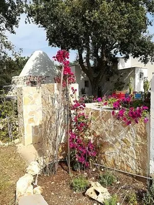 Superior Ev (Trullo Alessandro)