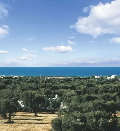 Ev, 2 Yatak Odası, Sigara İçilebilir, Veranda