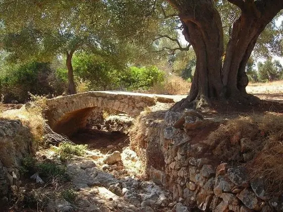 Ev, 2 Yatak Odası, Sigara İçilebilir, Veranda