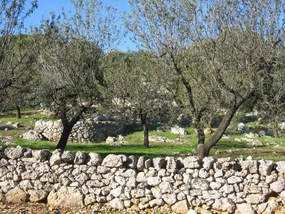 Ev, 2 Yatak Odası, Sigara İçilebilir, Veranda