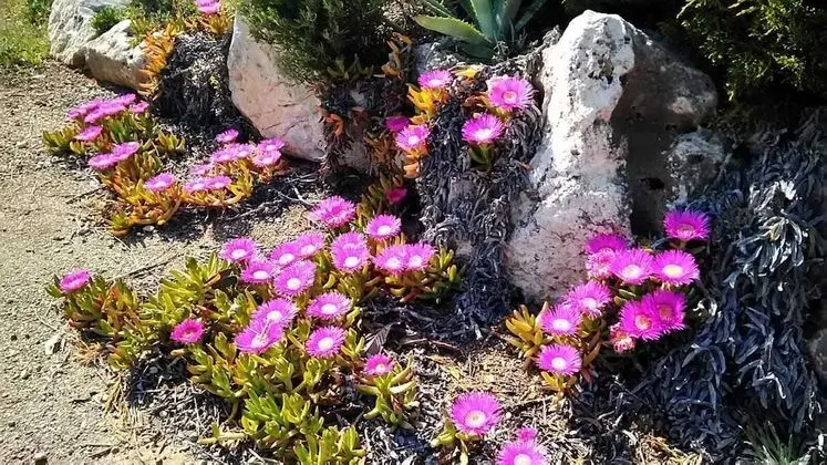 Ev, 2 Yatak Odası, Sigara İçilebilir, Veranda