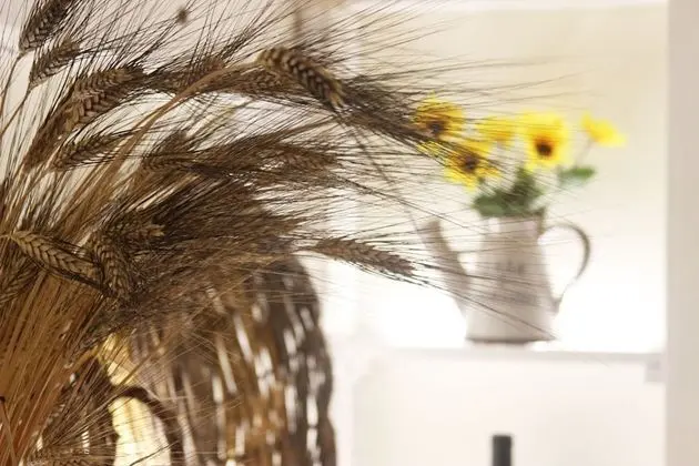 Ev, 1 Yatak Odası, Balkon, Bahçe Manzaralı