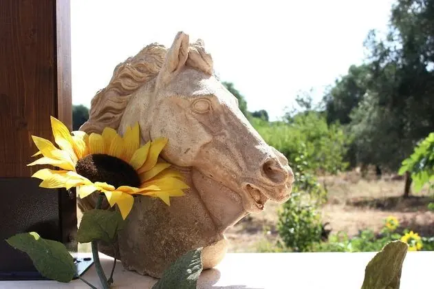 Ev, 1 Yatak Odası, Balkon, Bahçe Manzaralı