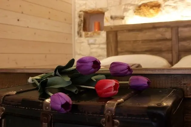 Exclusive Ev, 2 Yatak Odası, Kişiye Özel Havuzlu (Jacuzzi)