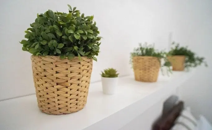 Deluxe Apart Daire, 2 Yatak Odası (Trullo)