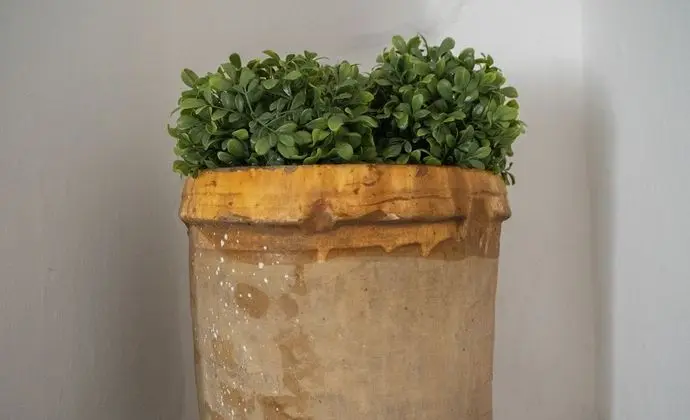 Deluxe Apart Daire, 2 Yatak Odası (Trullo)