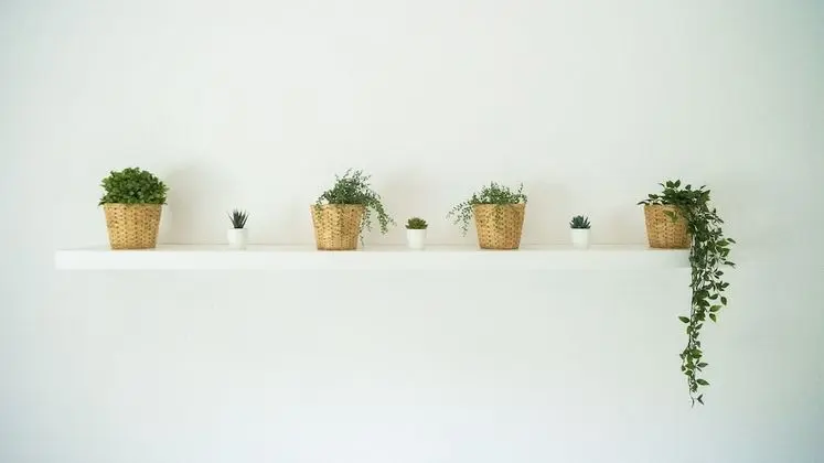 Superior Dört Kişilik Oda, Ortak Banyo