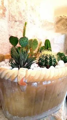 Panoramic Villa, 3 Yatak Odası (Limone)