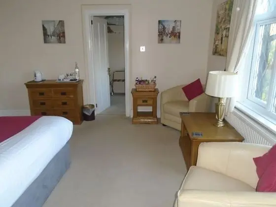 Deluxe Tek Büyük Yataklı Oda (Room 1)