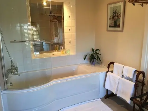 Deluxe Tek Büyük Yataklı Oda (Room 1)