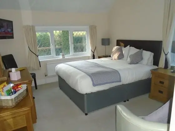 Tek Büyük Yataklı Oda (Room 3)