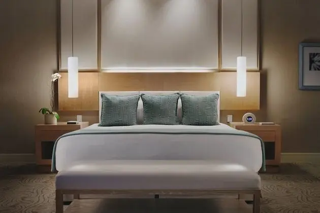 Deluxe Oda, 1 En Büyük (King) Boy Yatak (Spa Grand)