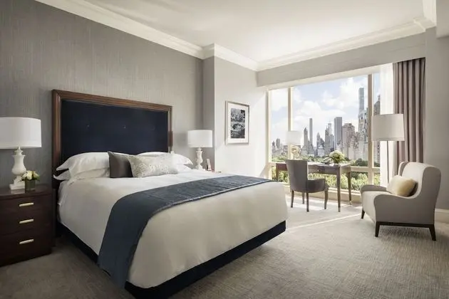 Deluxe Oda, Park Manzaralı