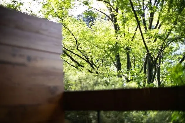 Standard Tek Büyük Yataklı Oda, Balkon (20 sqm)