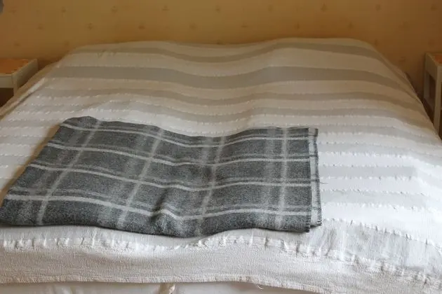 Basic Tek Büyük Yataklı Oda, 1 Çift Kişilik Yatak, Özel Banyo (No Pets Allowed)