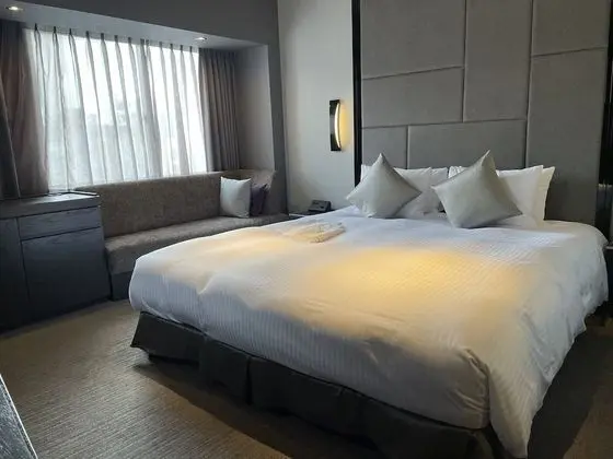 Deluxe Tek Büyük Yataklı Oda, Sigara İçilebilir