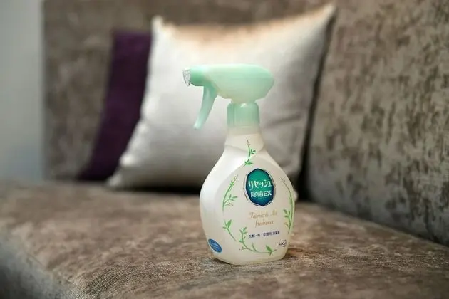 Deluxe Tek Büyük Yataklı Oda, Sigara İçilebilir
