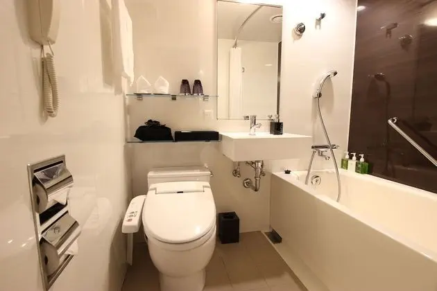Deluxe Tek Büyük Yataklı Oda, Sigara İçilebilir