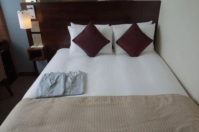 Standard Tek Büyük Yataklı Oda, Sigara İçilmez