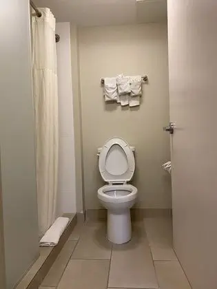 Standard Oda, 1 En Büyük (King) Boy Yatak, Sigara İçilebilir