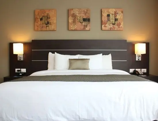Oda, 1 En Büyük (King) Boy Yatak, Sigara İçilmez (TRYP)