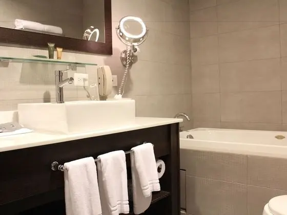 Premium Stüdyo Süit, 1 En Büyük (King) Boy Yatak, Sigara İçilmez