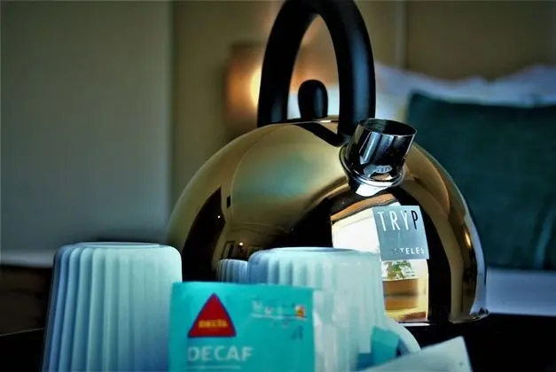 Premium Süit, 1 Çift Kişilik Yatak, Sigara İçilmez