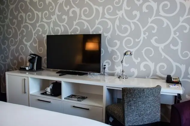 Süit, 1 En Büyük (King) Boy Yatak, Sigara İçilmez (One-Bedroom)