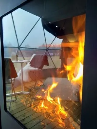 Panoramic Çadır (s)