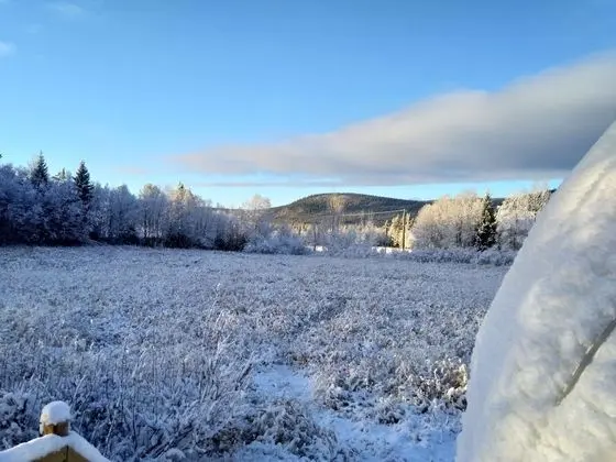 Panoramic Çadır (s)
