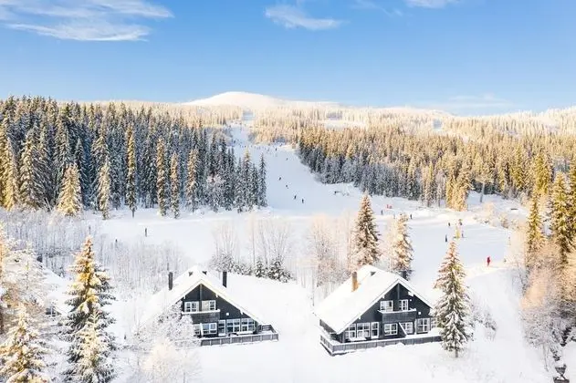 Family Kulübe, 3 Yatak Odası, Sigara İçilmez, Yamaçta
