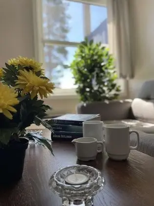 Trysilfjell Apartment 4 sengs Ostfloy