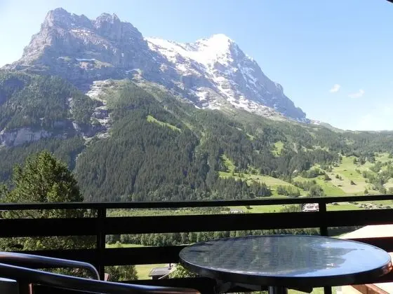 Panoramic Tek Büyük Yataklı Oda, Balkon, Dağ Manzaralı (Eiger)