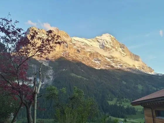 Panoramic Tek Büyük Yataklı Oda, Balkon, Dağ Manzaralı (Eiger)