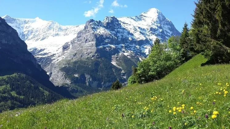 Panoramic Tek Büyük Yataklı Oda, Balkon, Dağ Manzaralı (Eiger)