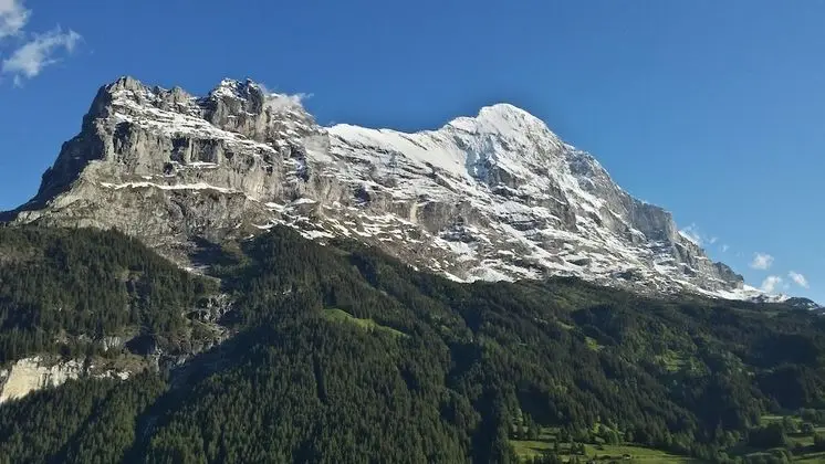 Panoramic Tek Büyük Yataklı Oda, Balkon, Dağ Manzaralı (Eiger)