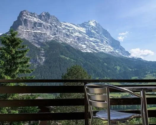 Panoramic Tek Büyük Yataklı Oda, Balkon, Dağ Manzaralı (Eiger)